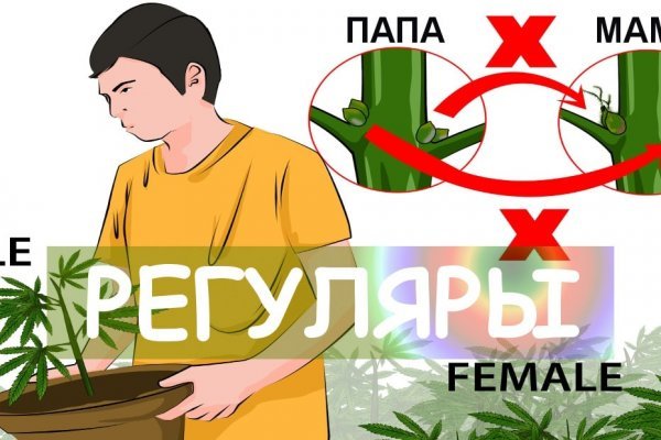 Прямая ссылка на кракен